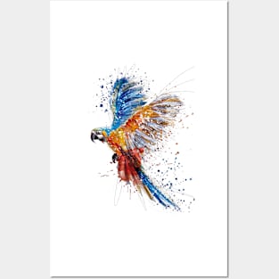 parrot Posters and Art